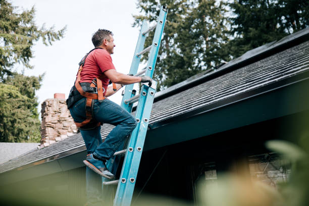 Roof Insulation in College, AK